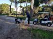 BELEK 2019